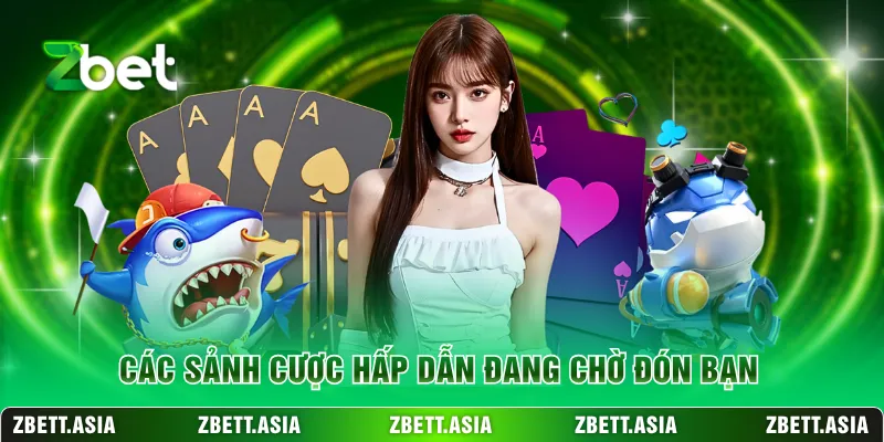 Các sảnh cược hấp dẫn đang chờ đón bạn