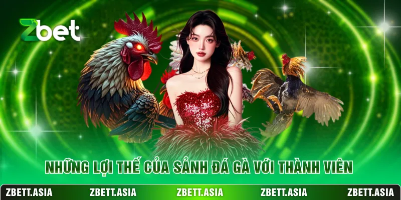 Những lợi thế của sảnh đá gà với thành viên