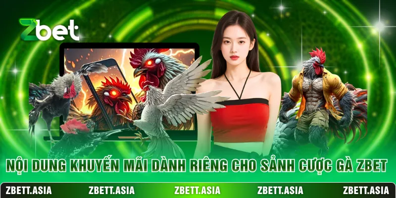 Nội dung khuyến mãi dành riêng cho sảnh cược gà ZBET